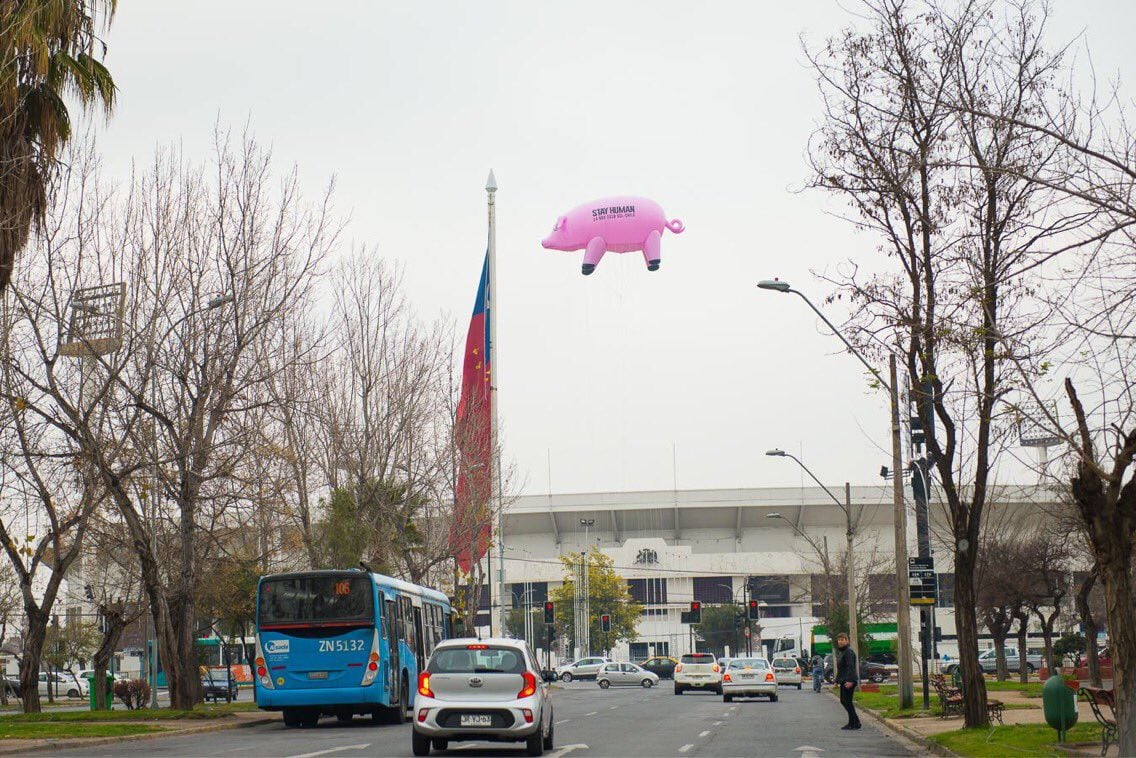 ¿Por qué un chancho gigante flota sobre el Estadio Nacional?