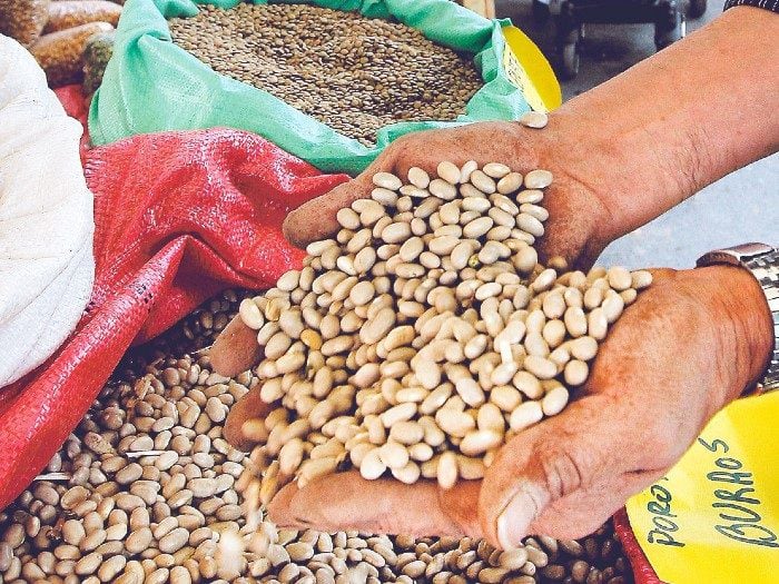 Es tiempo de porotos, garbanzos y más...