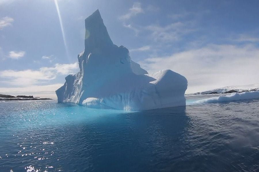 Calor histórico pone en riesgo la flora y fauna  de la Antártica