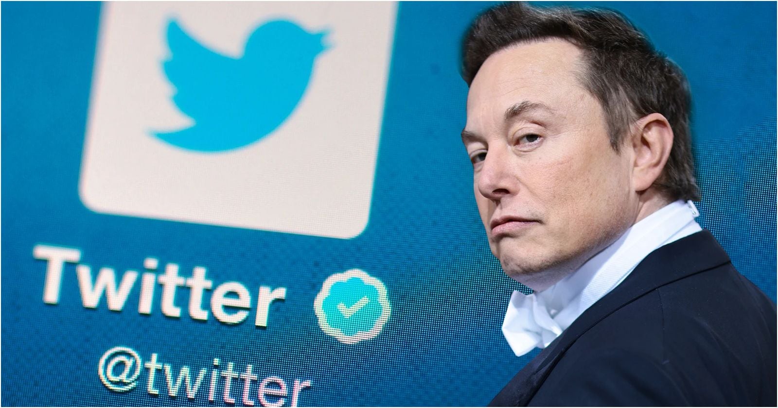 Elon Musk sigue cortando cabezas en Twitter y no para con sus despidos