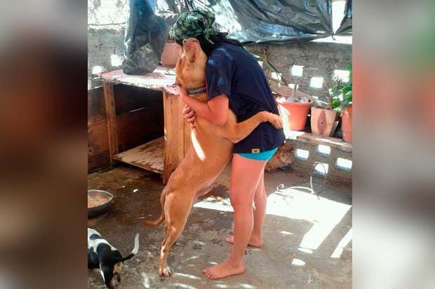 Amor perruno: tierno reencuentro entre perrita y su amo