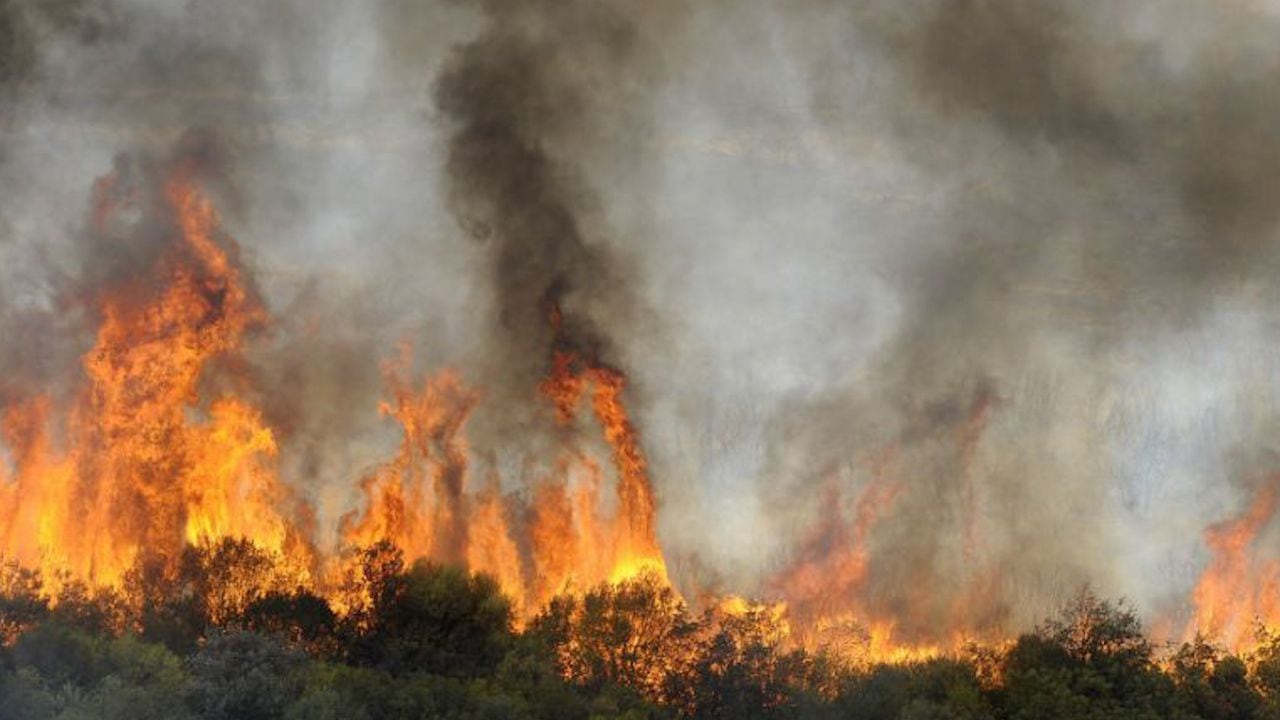 incendio forestal