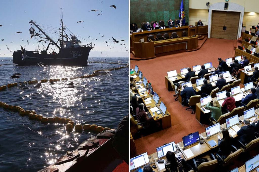 La nueva Ley de Pesca busca reemplazar la antigua legislación, cuestionada por hechos de corrupción.