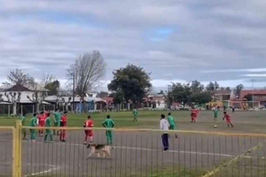 "¡Señor Lasarte!": perrito chillanejo da la vuelta al mundo con insólito golazo en el fútbol amateur