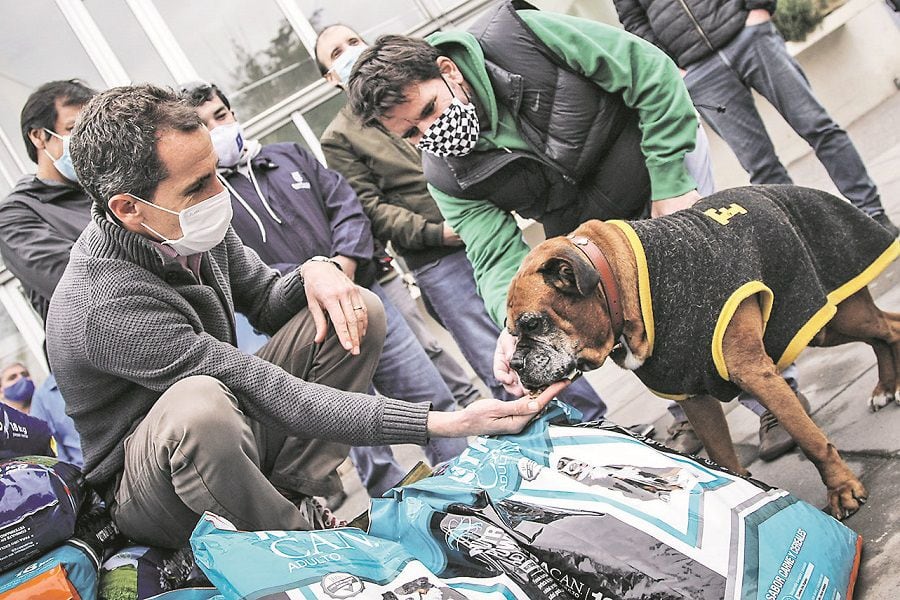 A copiar la idea: Chicureo se pone con comida para mascotas