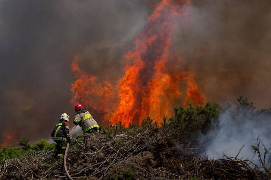 Incendio forestal