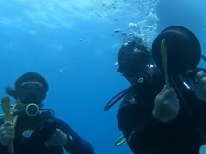 Viral: Buzos hicieron "cacerolazo" bajo el mar en Isla de Pascua