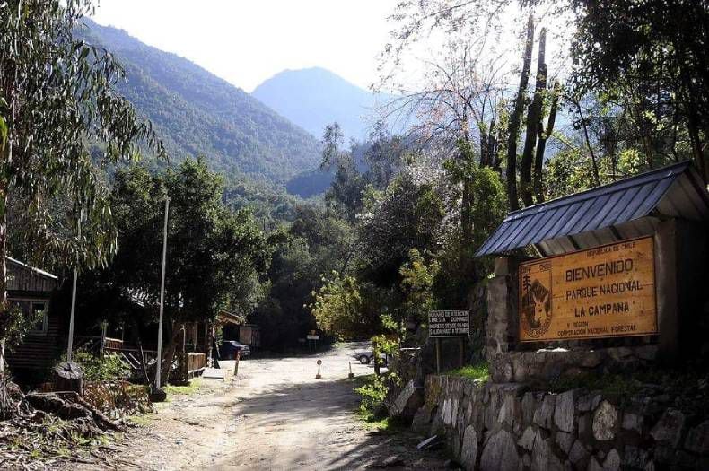 Encuentran con vida a joven extraviado en el cerro La Campana