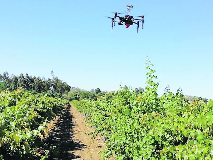 Los drones "verdes" que dan una mano al planeta