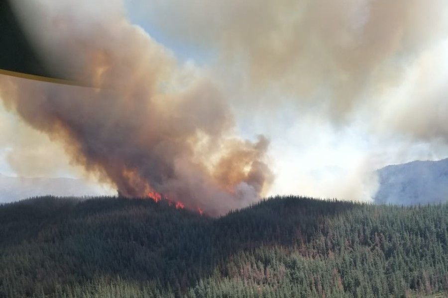 Onemi llama a evacuar Sierras de Bellavista en San Fernando por incendio forestal