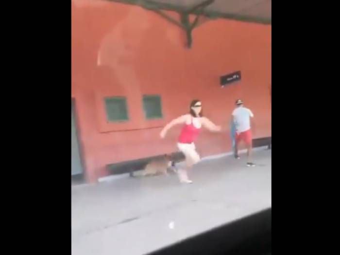 "Vuelvo enseguida": repudio por mujer que abandonó a su perro en una estación de tren