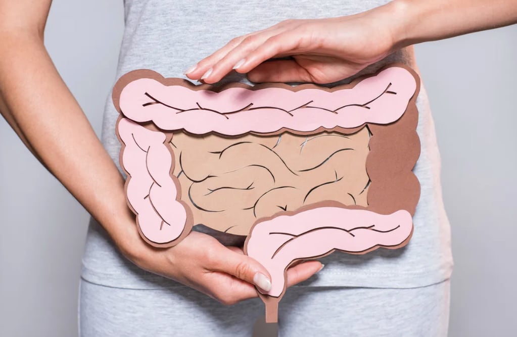 El SIBO afecta al intestino delgado. 