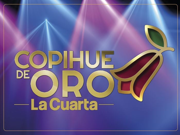 Revisa todos los nominados para el Copihue de Oro 2019