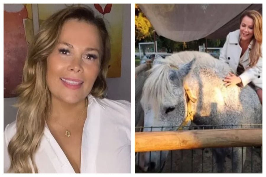 Cathy Barriga generó polémica tras intentar llevarse una yegua de la Municipalidad de Maipú