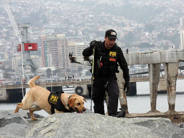 Torso hallado en Valparaíso corresponde a profesor de Villa Alemana