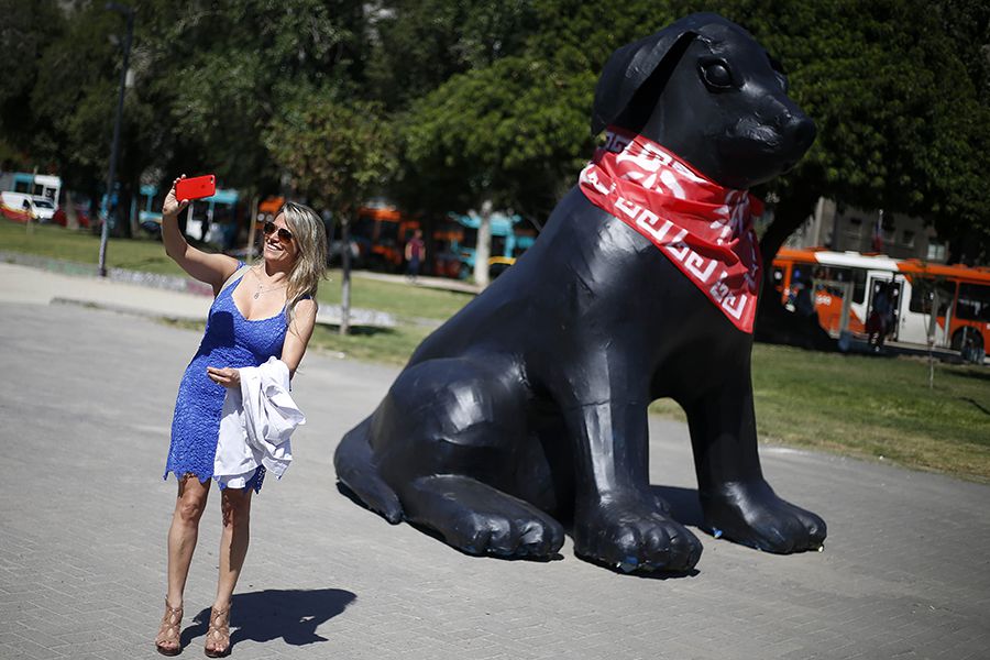 Transeuntes se toman selfie  con el famoso perro el "Negro Matapacos"