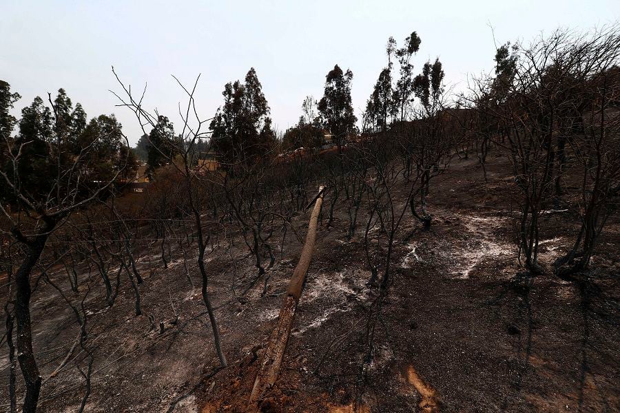 4.200 hectáreas han sido afectadas por incendios en la Región de Valparaíso