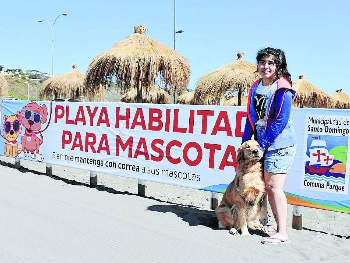 Hasta los gatos nadan a lo perrito en playa para mascotas