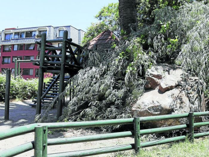 Roca de tres toneladas cayó del San Cristóbal