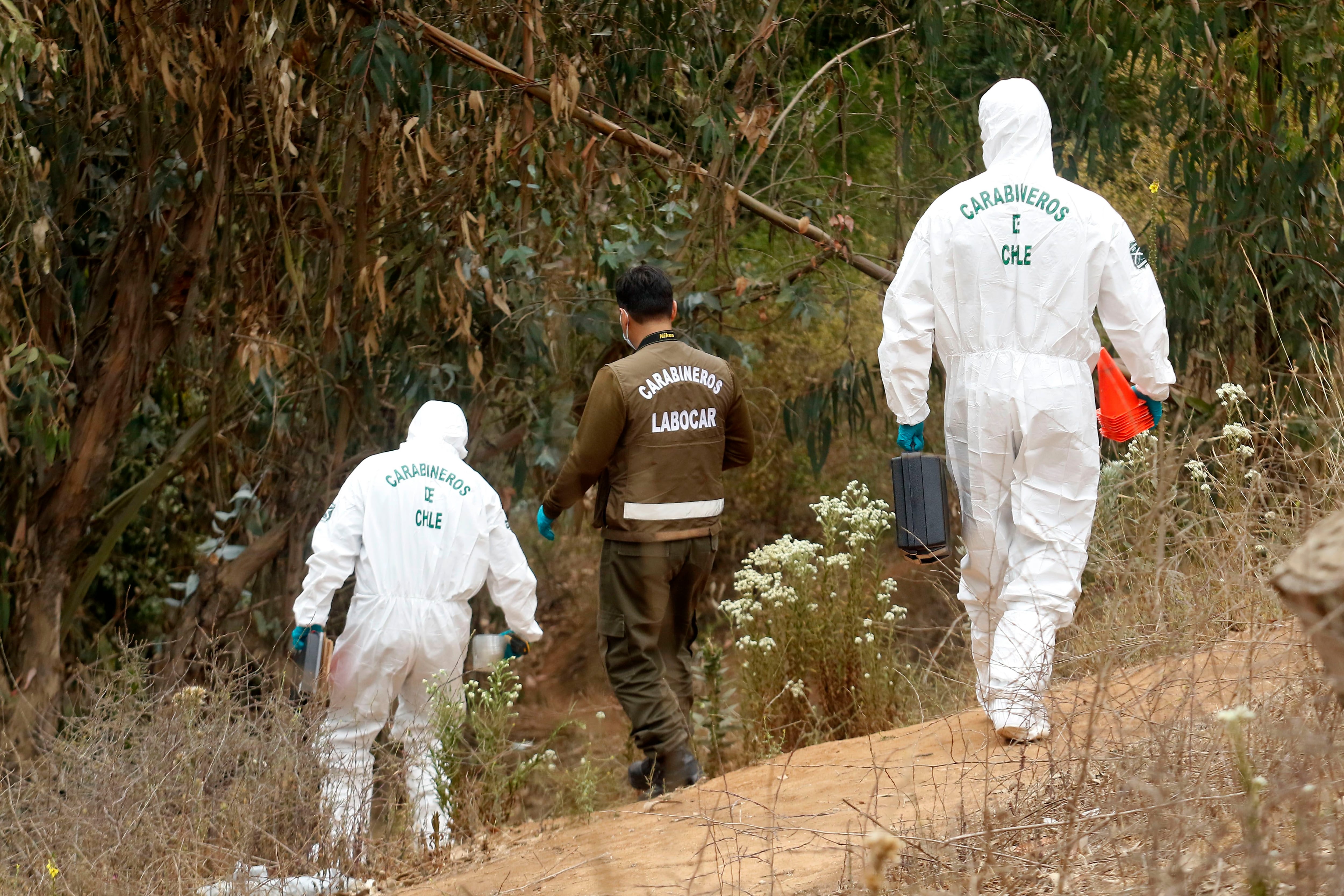 VIÑA DEL MAR: Pericias por mujer amarrada y golpeada en quebrada