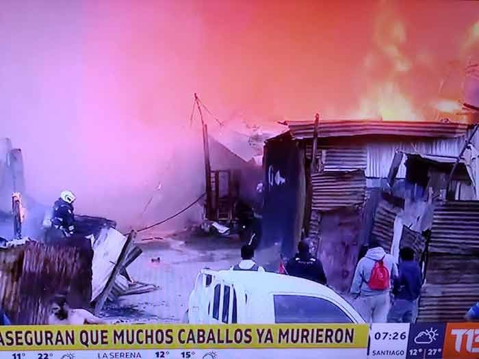 Caballos mueren quemados por voraz incendio en Cerro Navia