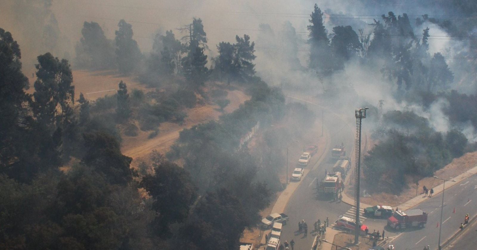 Incendio Forestal Viña