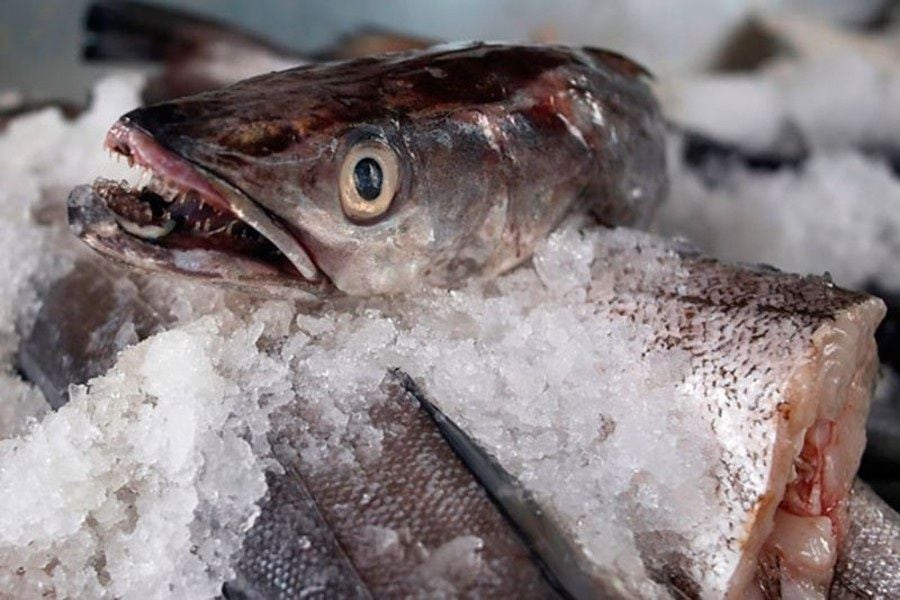 Alternativas a pescados y mariscos seducen el paladar en Semana Santa