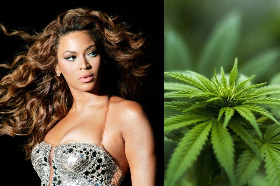 El nuevo emprendimiento de Beyoncé: creará su propia granja de marihuana