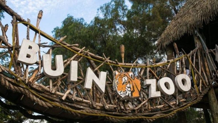 El insólito error de CHV Noticias con el Buin Zoo que sacó burlas en las redes sociales