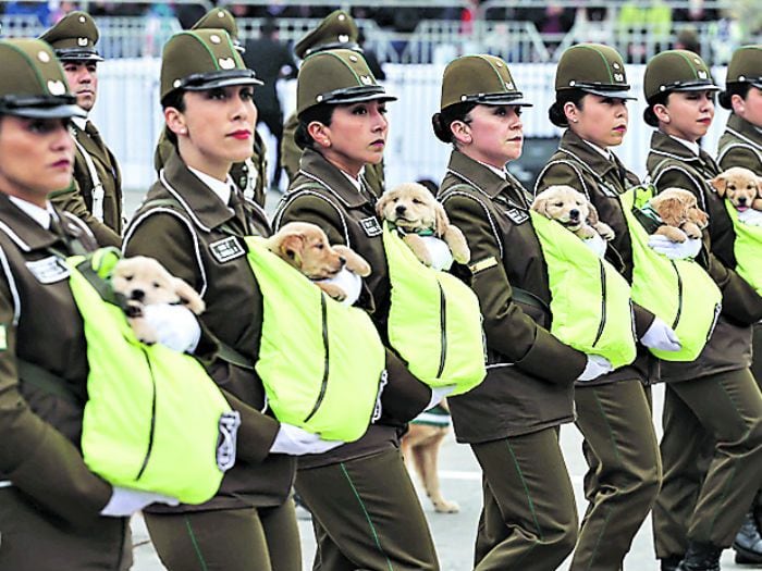 Carabineras dejaron verdes a todos