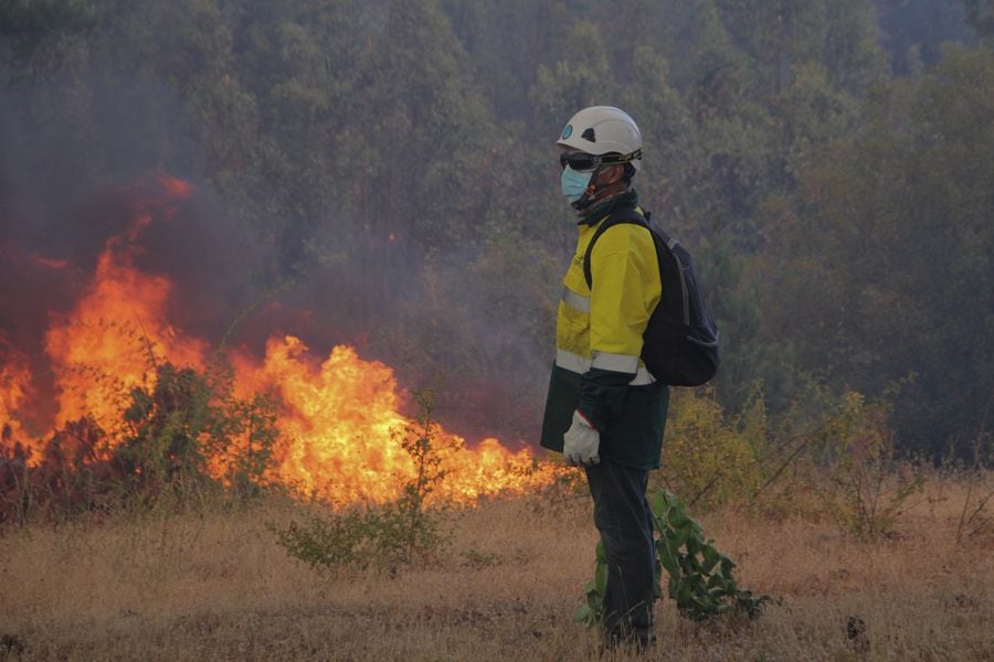 Incendio forestal