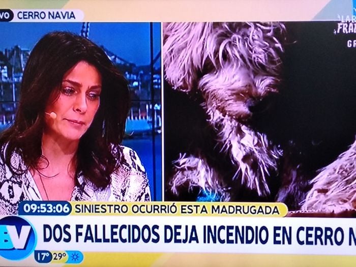 El desconsolado llanto en vivo que remeció al panel de Bienvenidos