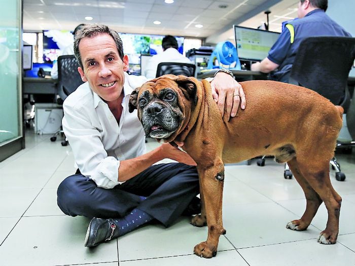 "Rocky", el perro guardián que sobrevivió a todas las desgracias