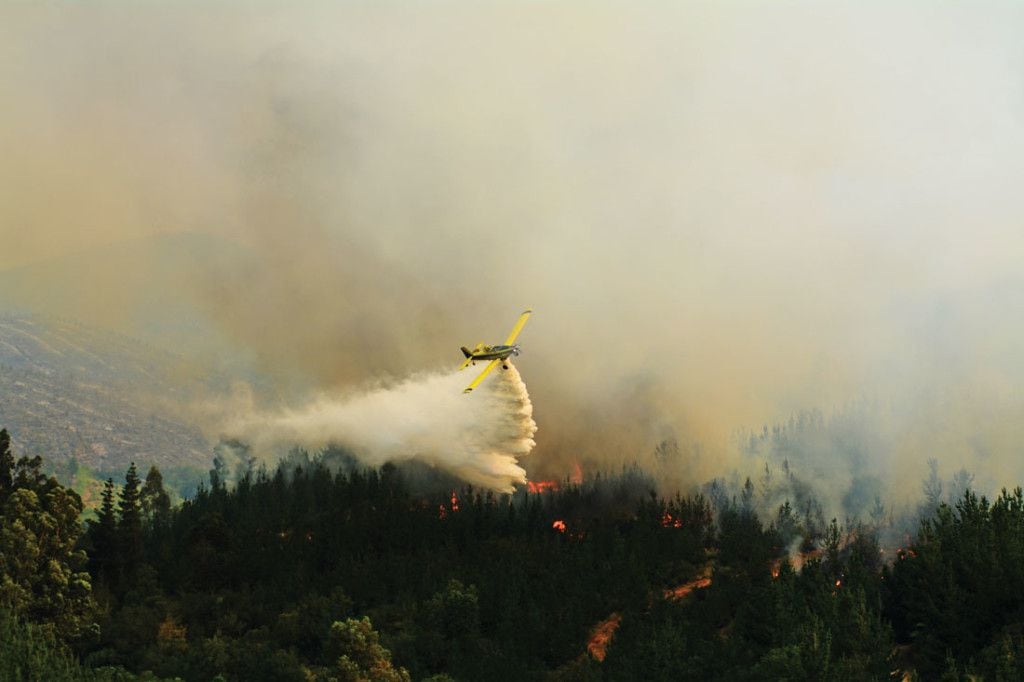 Alerta Roja en Natales por incendio forestal