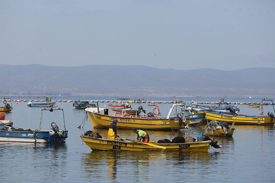 Coquimbo: la mezcla perfecta entre turismo y buena mesa