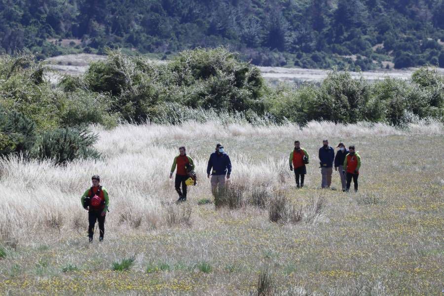 Búsqueda de Tomás: confirman que el SAG instaló cámaras para detectar pumas