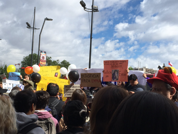 #JusticiaParaEma: realizan masiva protesta por gatita torturada y asesinada en Colina