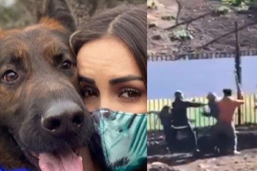 Maura Rivera defiende a su perro: "Solo movió la cola y luego arrancó"