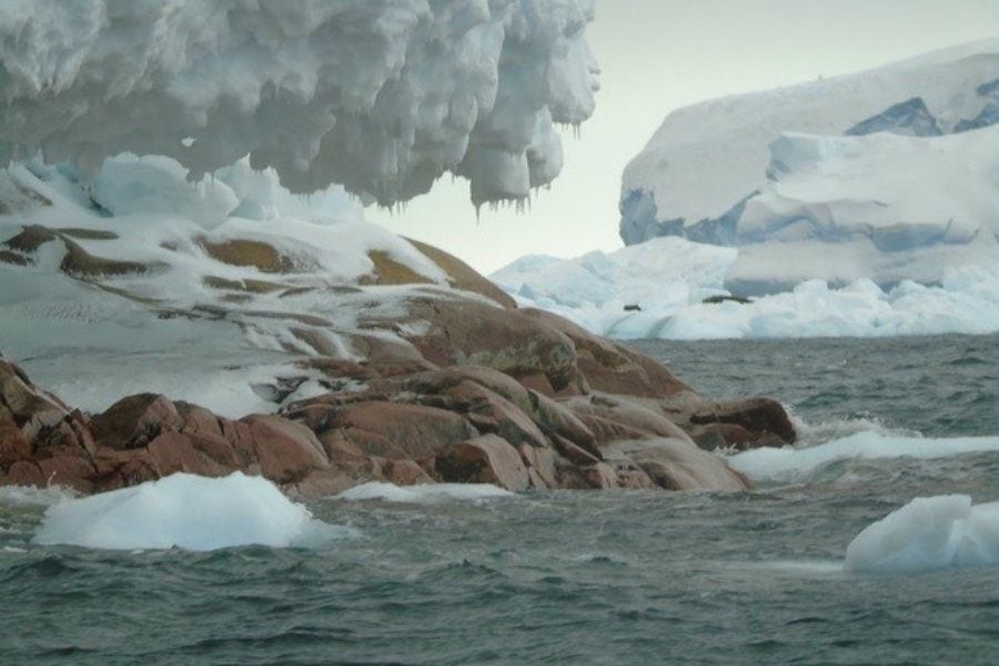 Deshielo glaciar hace "aparecer" isla oculta en la Antártida