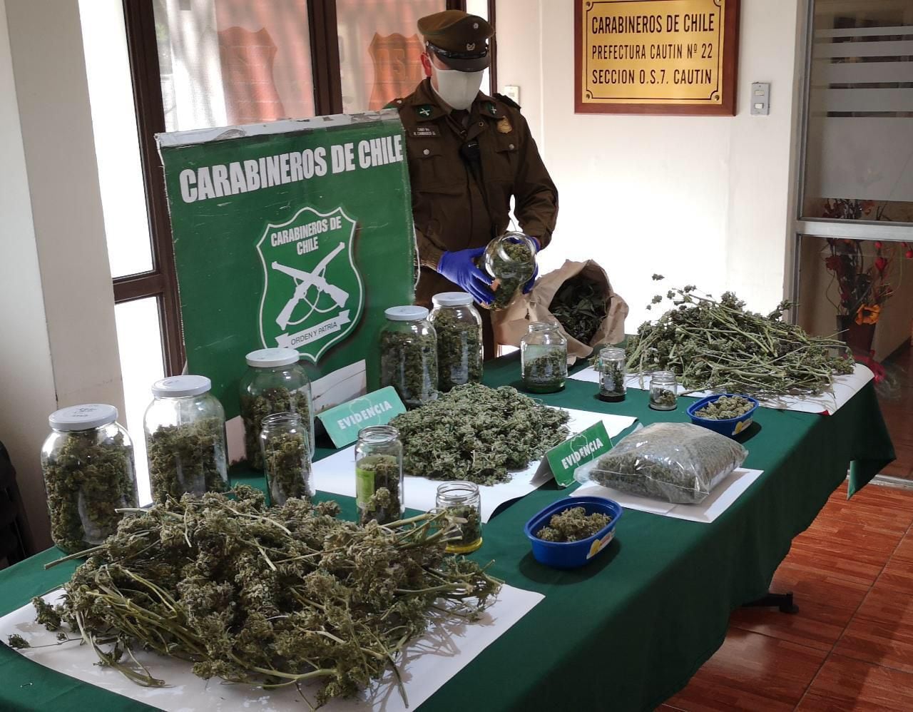 Narcos sin cuarentena: decomisan marihuana lista para volar