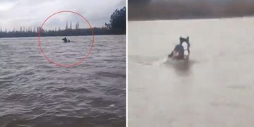 Video inundaciones