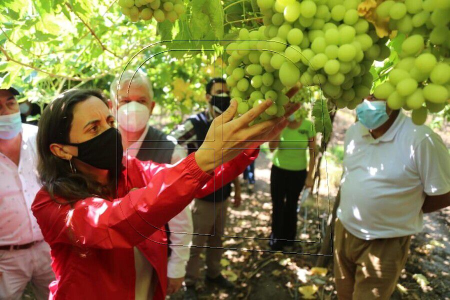 Declaran emergencia agrícola para dos provincias de la zona central