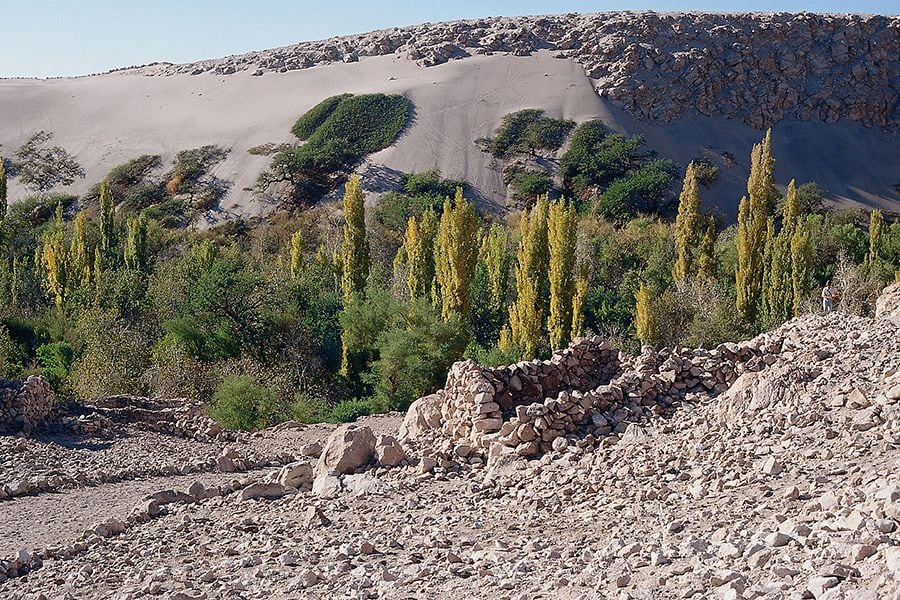 Declaran emergencia agrícola por sequía en la región de Atacama