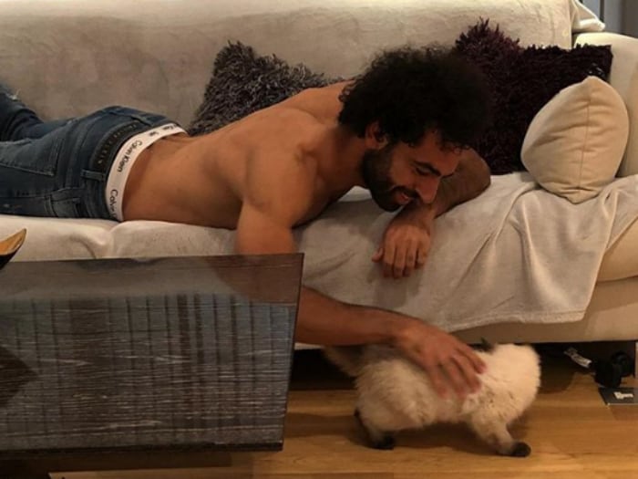 "¡Esto no puede pasar!": Mohamed Salah sacó las garras en favor de los animales