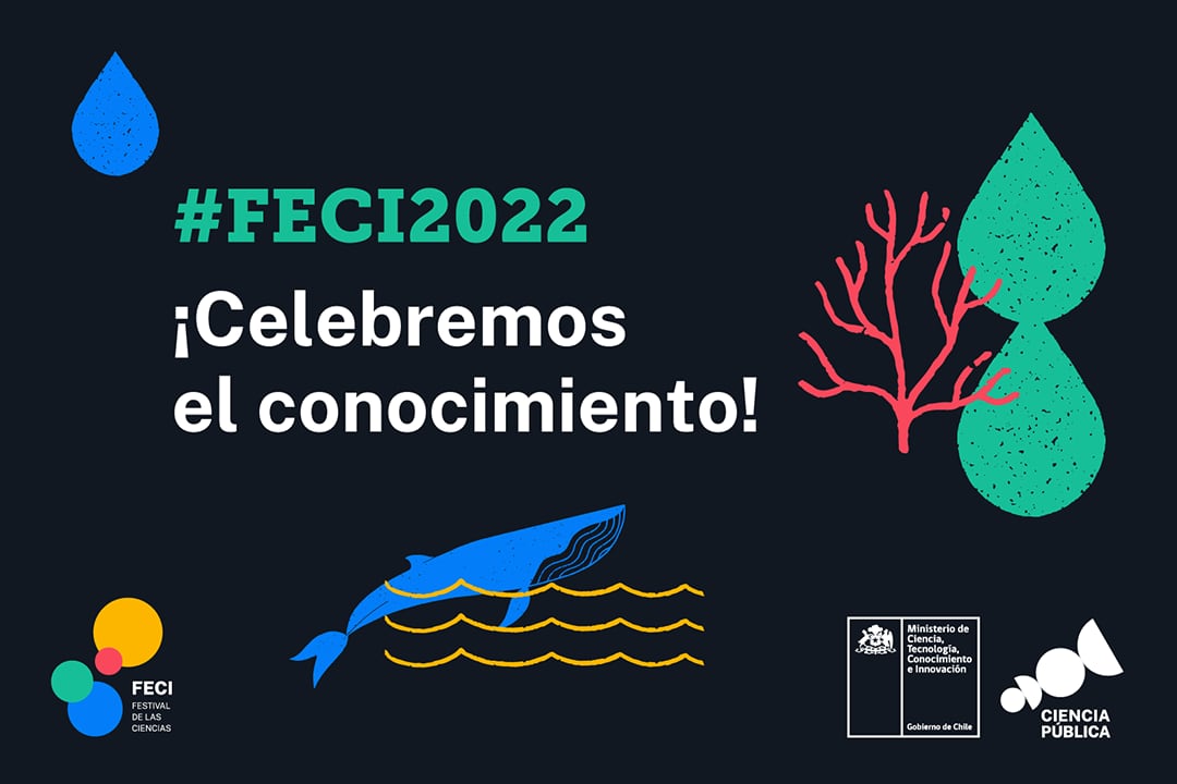 feci 2022