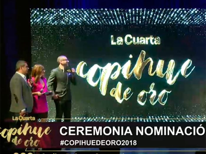 Uno por canal: Conoce a los seis animadores del Copihue de Oro 2018