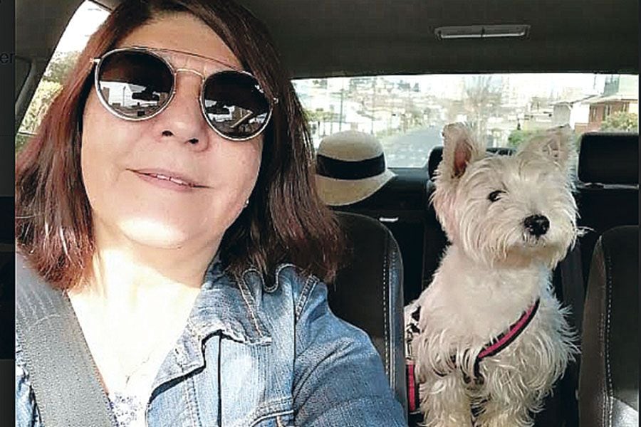 Reencuentro con el hermano del año: le robo auto, dinero y hasta el perro