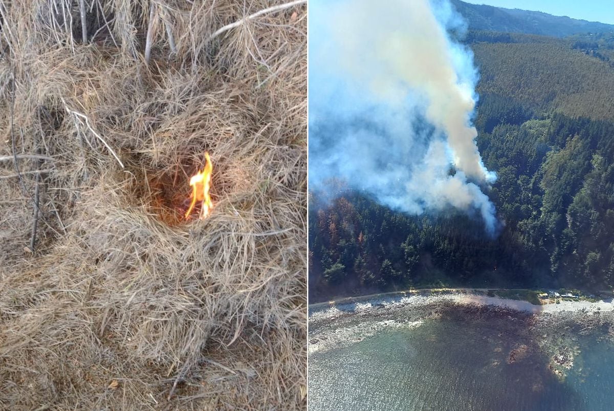 Velas en incendio forestal Tomé