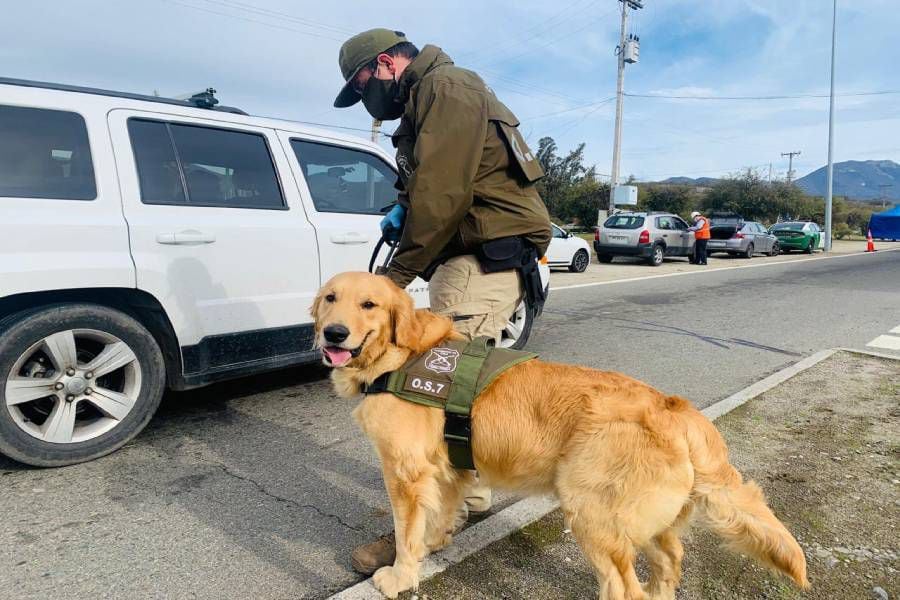 Foster funó escape en maletero de porfiado extremo en plena pandemia