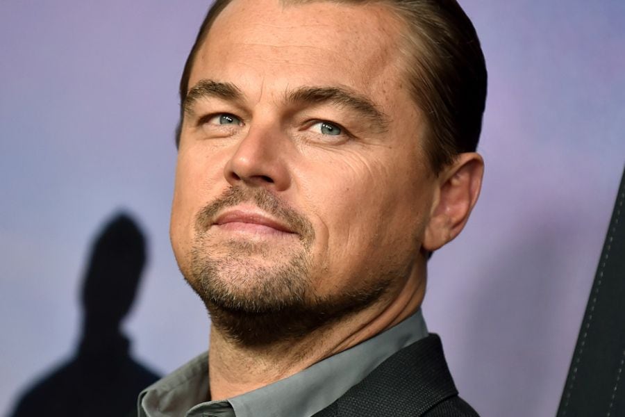 "Un refugio potencial": Leonardo Di Caprio sorprendió al publicar foto del sur de Chile